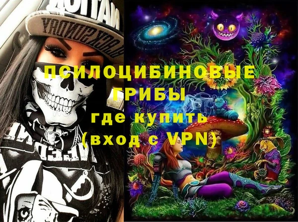 PSILOCYBIN Бородино